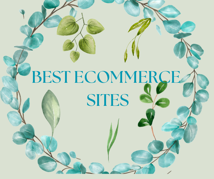BEST ECOMMERCE SITES