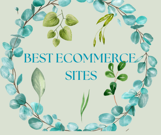 BEST ECOMMERCE SITES