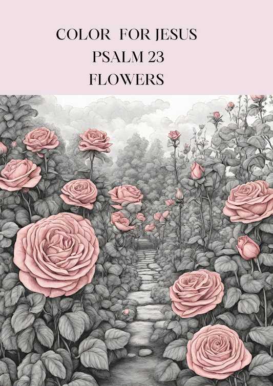 COLOR AND LEARN PSALM 23: A JOURNEY OF TRUST AND FAITH