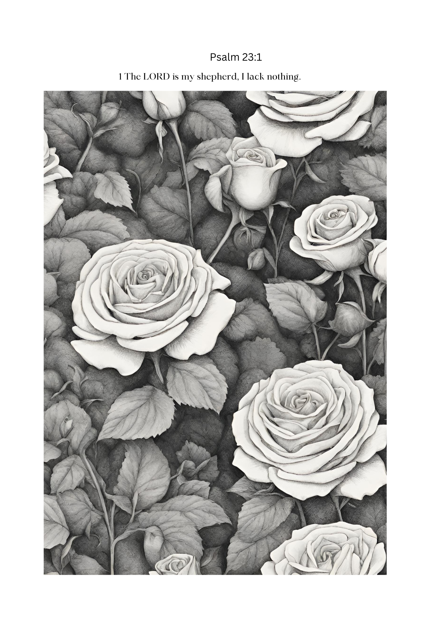 COLOR AND LEARN PSALM 23: A JOURNEY OF TRUST AND FAITH