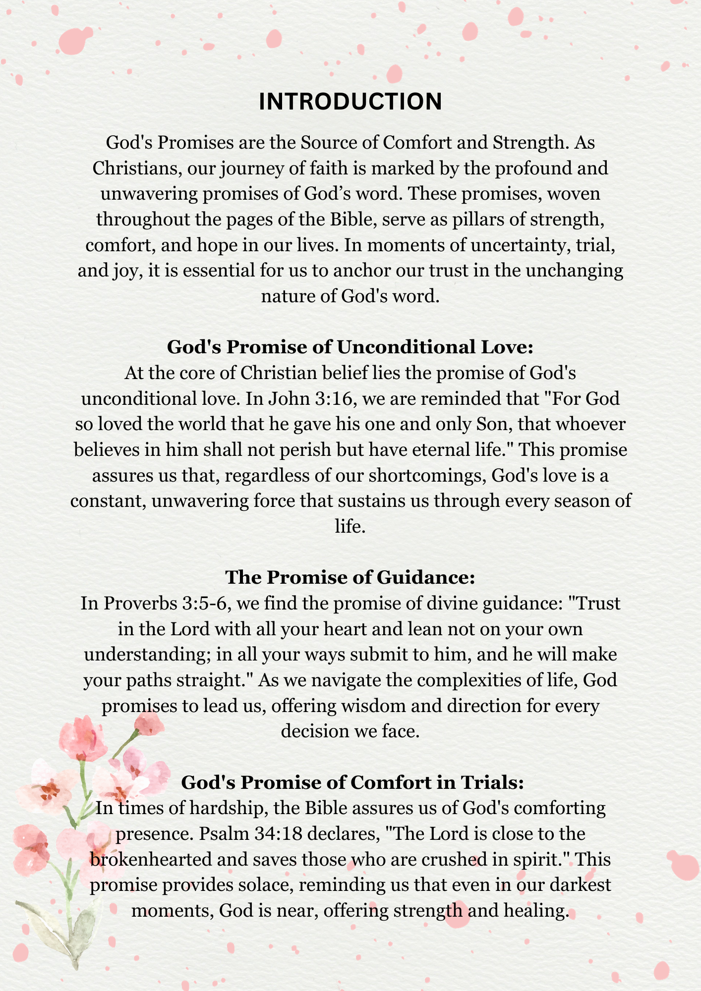 PRAY & DECLARE JOURNAL: THE PROMISES OF GOD