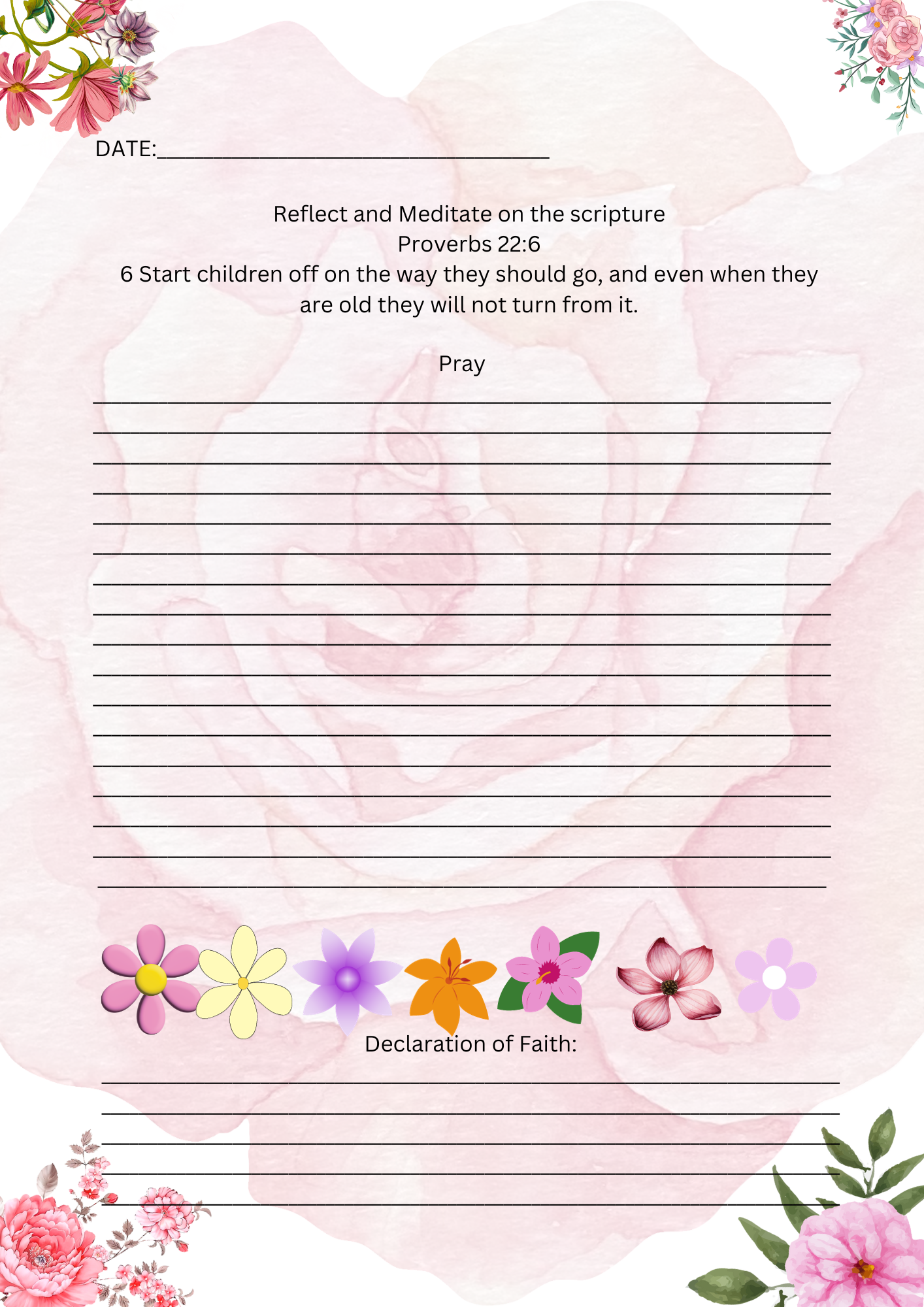 PRAY & DECLARE JOURNAL: THE PROMISES OF GOD
