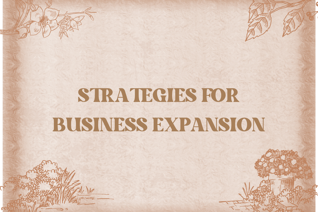 STRATEGIES FOR BUSINESS EXPANSION