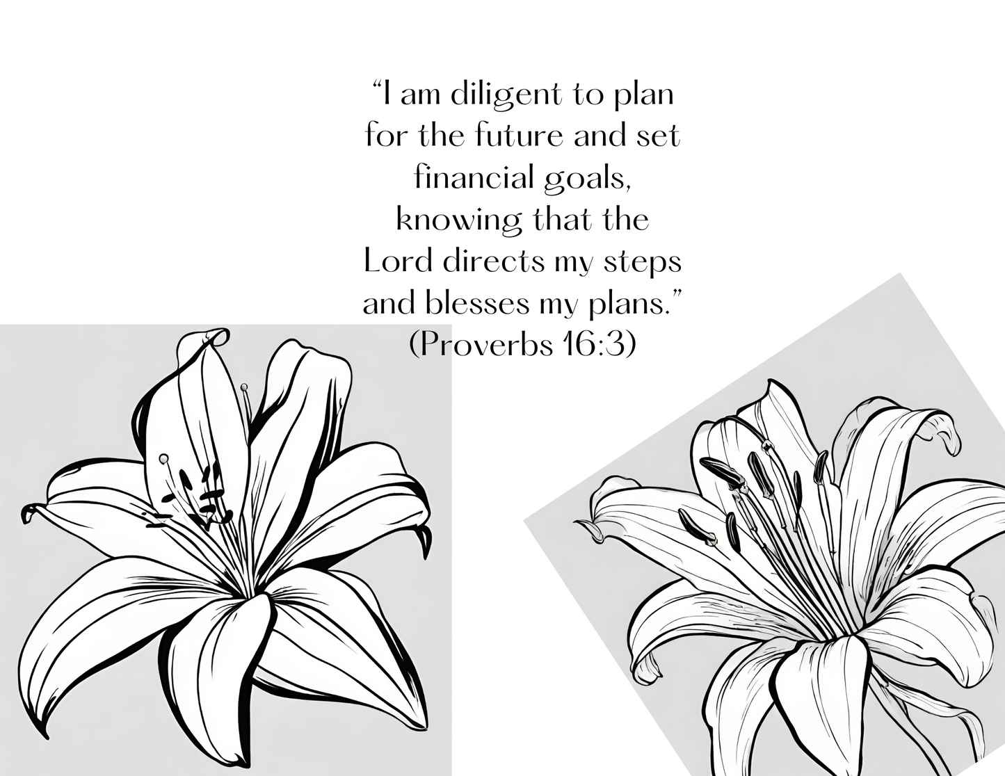 COLOR FOR JESUS: SCRIPTURES AFFIRMATIONS ON FINANCIAL SUCCESS- FLOWER LOVERS