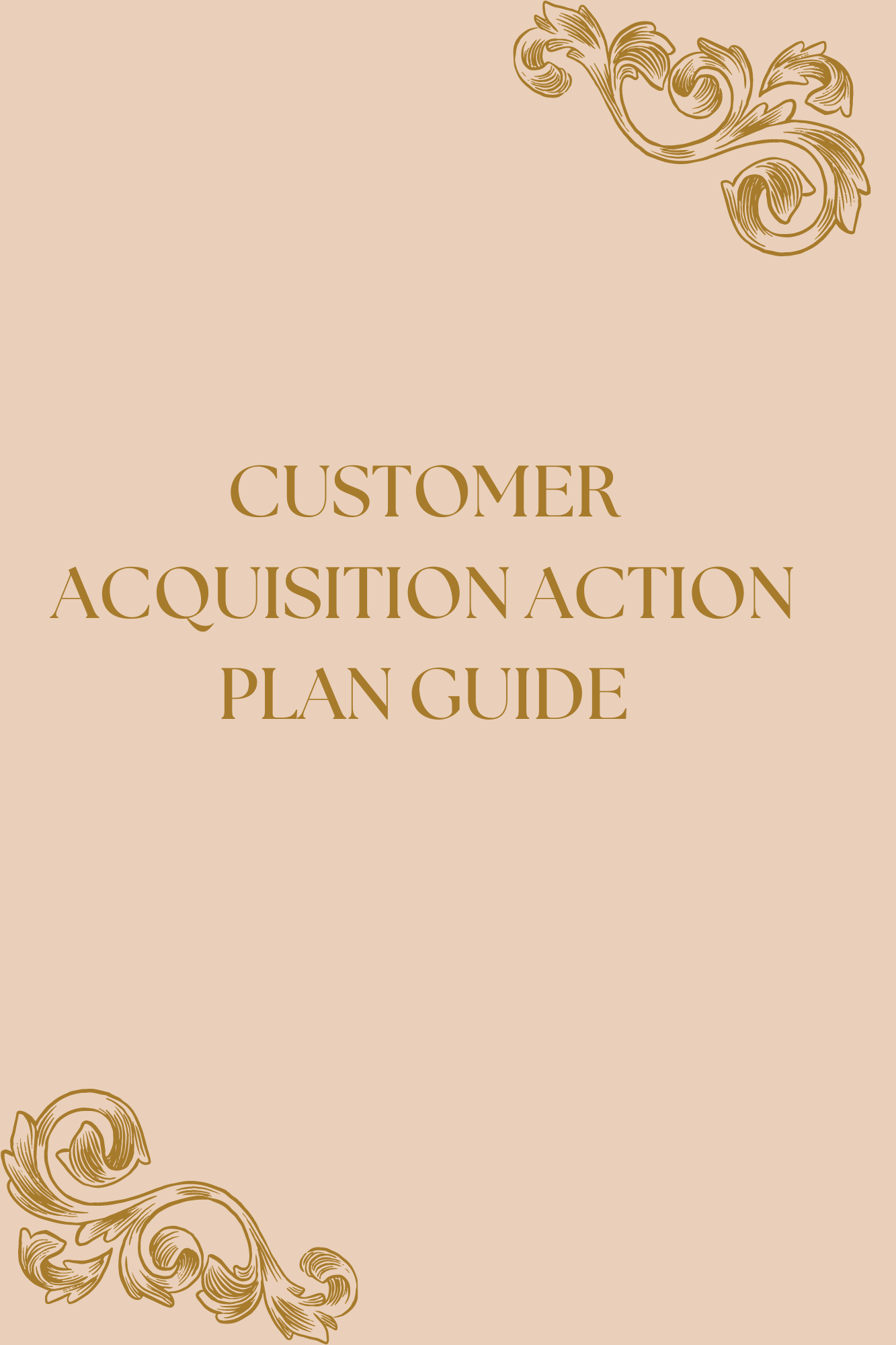 CUSTOMER ACQUISITION ACTION PLAN GUIDE