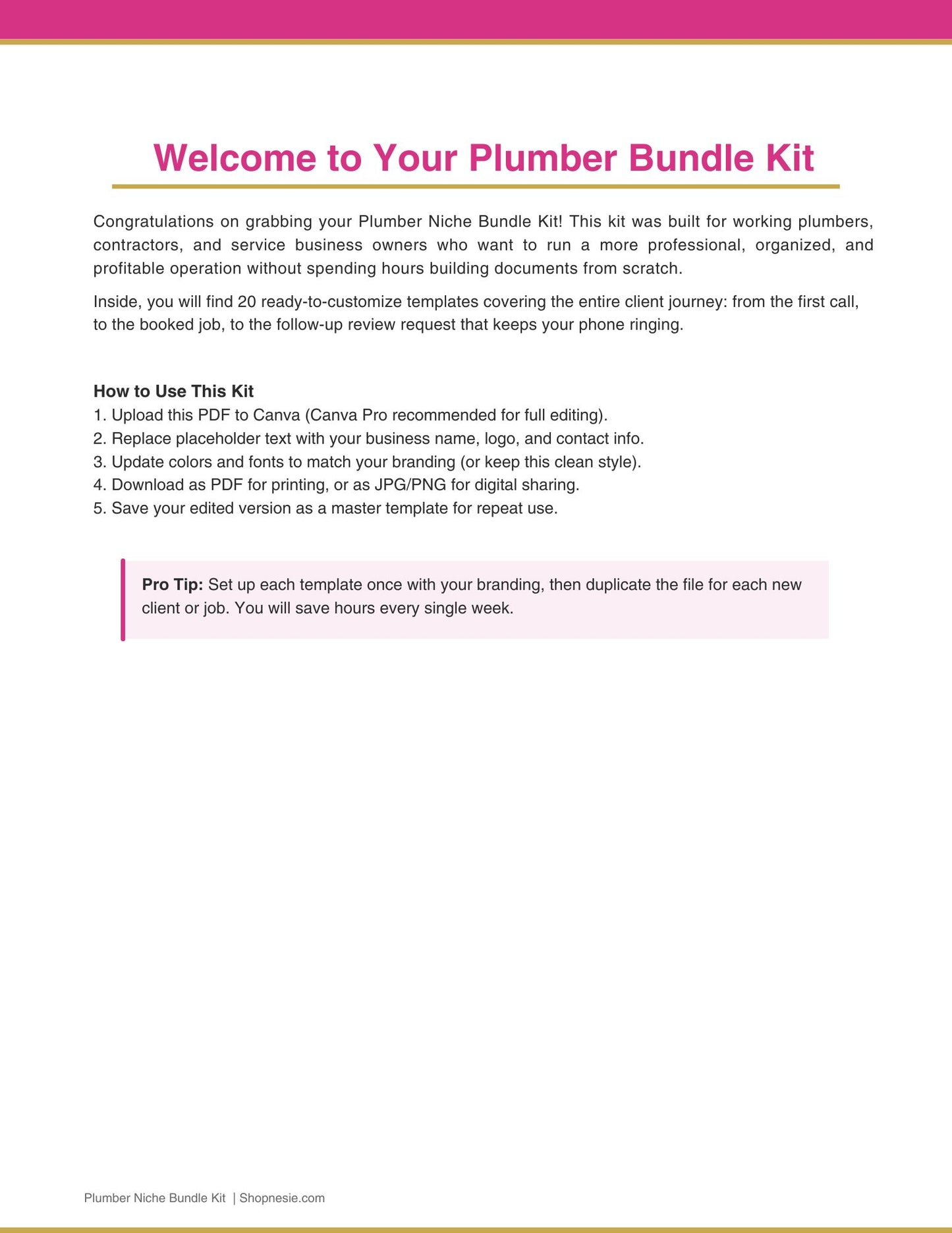 Plumber Templates Bundle: 20 Canva Editable Forms & Scripts