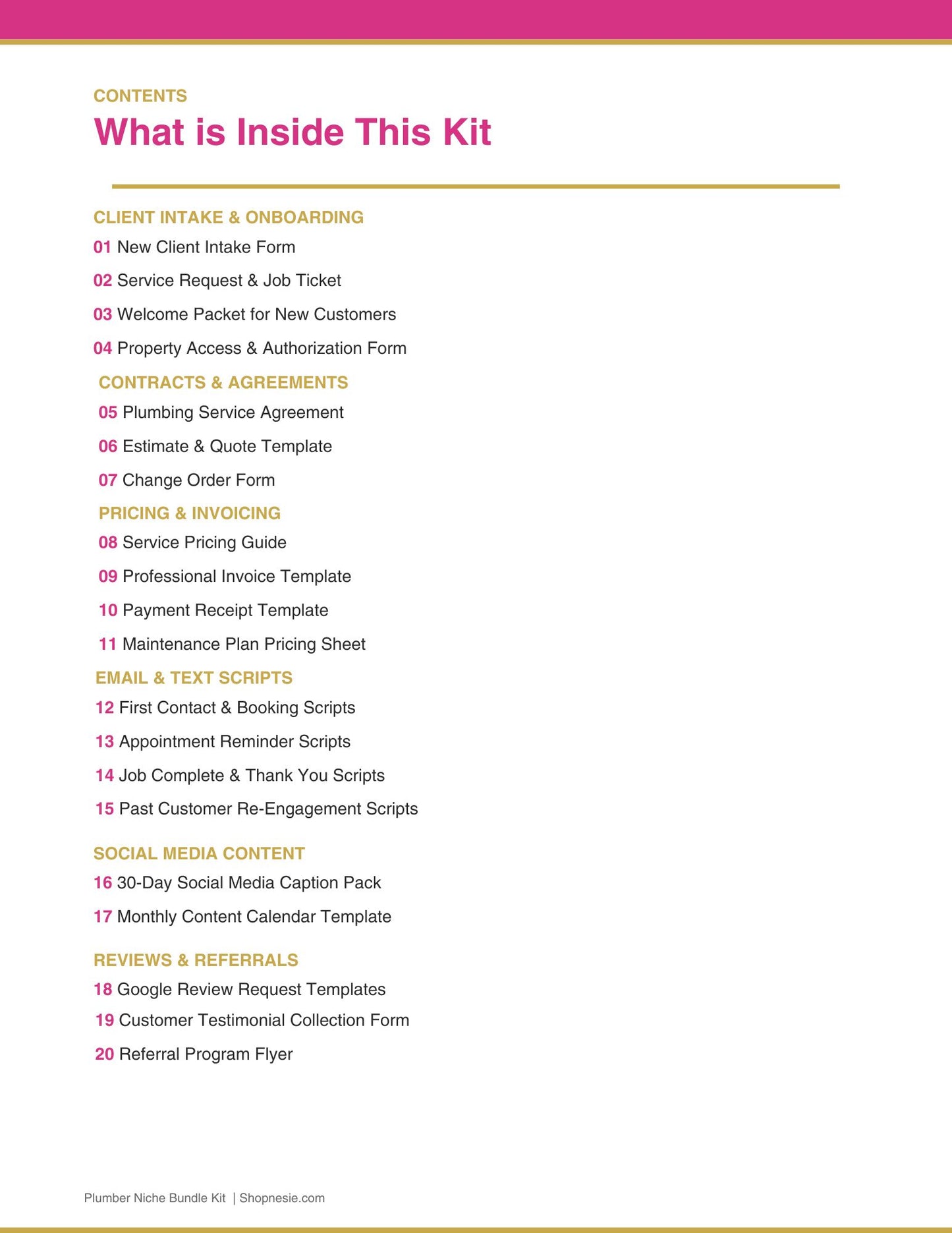 Plumber Templates Bundle: 20 Canva Editable Forms & Scripts